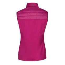 Halti Dynamic Naisten Liivi -Halti Shop 0640436 A68 DynamicWinsulationvest back
